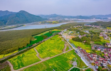 DJI_0403