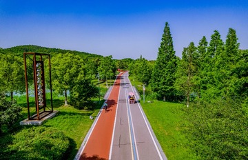 DJI_0926