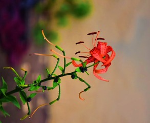 171569C1-59D9-4ED2-9DCD-84F8B479AB95/L0/001