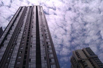 IMAG0451.jpg