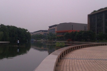 IMAG0556.jpg