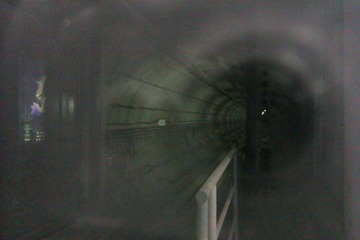 IMAG0619.jpg