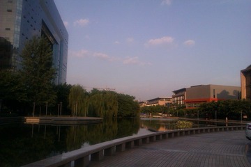 IMAG0639.jpg