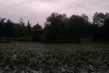 IMAG0718.jpg