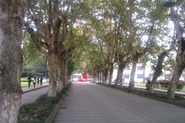 IMAG0723.jpg