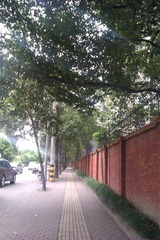 IMAG0724.jpg