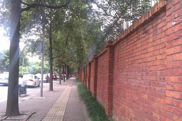 IMAG0725.jpg
