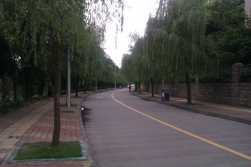 IMAG0726.jpg