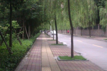 IMAG0728.jpg