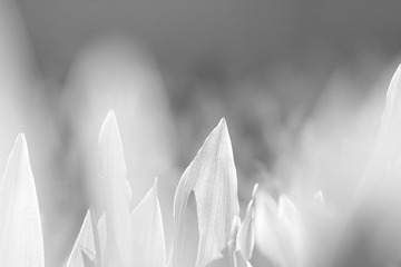 IMG_1613.JPG