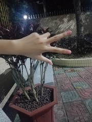 335843