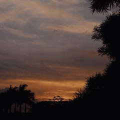 2311162