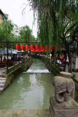 DSC_0300-5.jpg