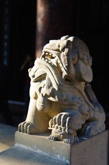DSC_0341-2.jpg