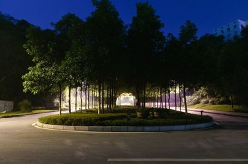 DSC_0016-1.jpg