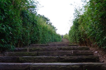 DSC_0050.jpg