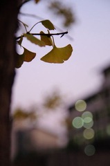 DSC_0063.jpg
