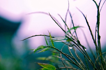 DSC_0010.jpg