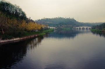 DSC_0136.jpg