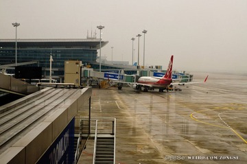 DSC_0014-1.jpg