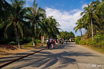 DSC_0212.jpg