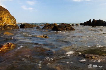 DSC_0258.jpg