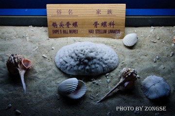 DSC_0395.jpg