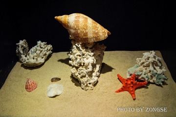 DSC_0396.jpg