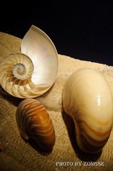 DSC_0399.jpg