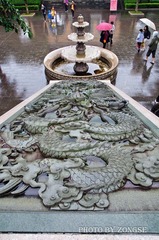DSC_0456.jpg