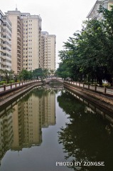 DSC_0486.jpg