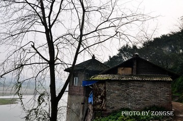 DSC_0007.jpg