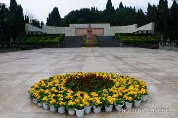DSC_0031.jpg