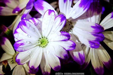 DSC_0127.jpg