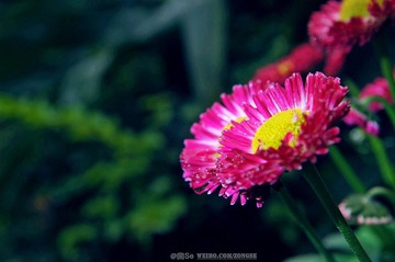 DSC_0145.jpg