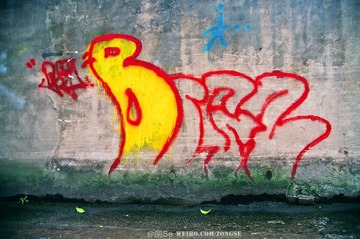 DSC_0153.jpg