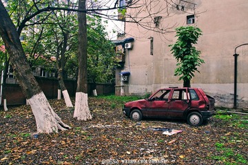 DSC_0161.jpg