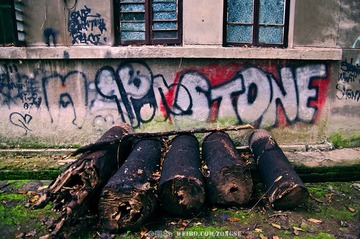 DSC_0162.jpg