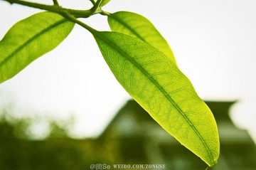 20120320-DSC_1837.jpg