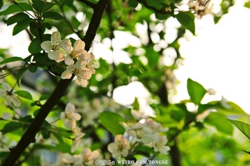 20120320-DSC_1842.jpg