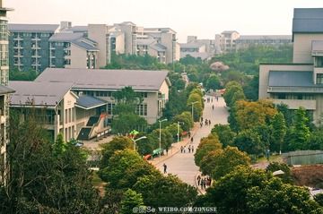 20120320-DSC_1515.jpg