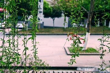 20120320-DSC_1821.jpg