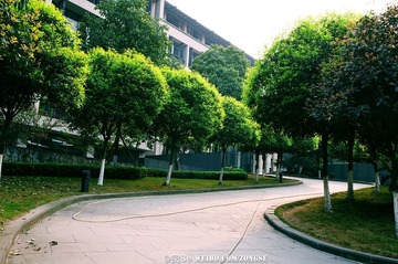 20120320-DSC_1839.jpg