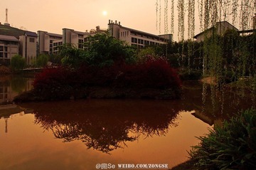20120320-DSC_1867.jpg