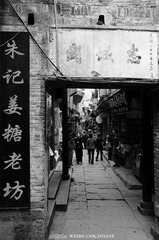 20120326-DSC_2634.jpg