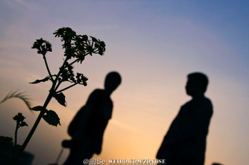 20120426-DSC_4393.jpg