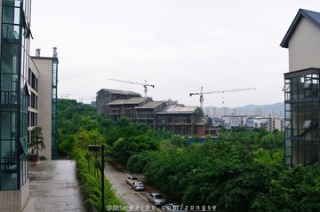 20120514-DSC_4915.jpg