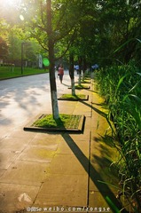 20120526-DSC_5585.jpg