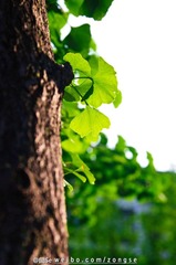 20120526-DSC_5588.jpg