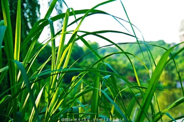 20120526-DSC_5591.jpg